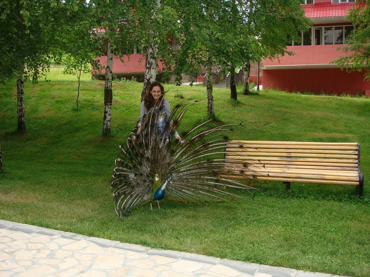Ani Resort Artavaz Luaran gambar