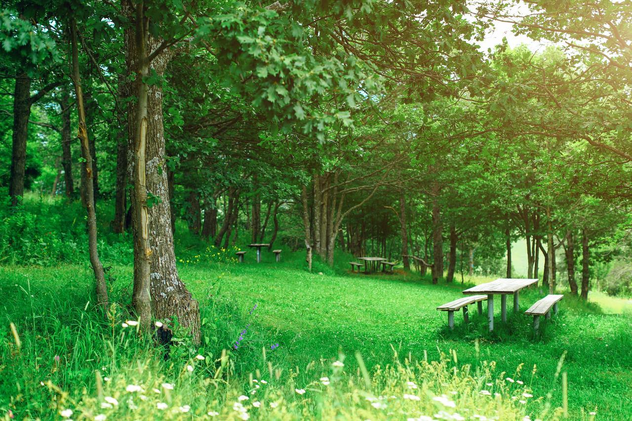 Ani Resort Artavaz Luaran gambar